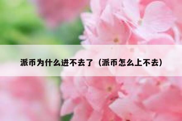 派币为什么进不去了（派币怎么上不去） 第1张