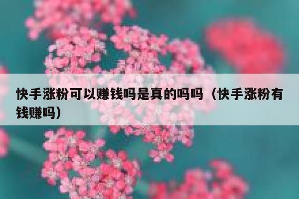 快手涨粉可以赚钱吗是真的吗吗(快手涨粉有钱赚吗) 第1张 快手涨粉可以赚钱吗是真的吗吗(快手涨粉有钱赚吗) 第1张