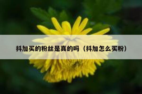抖加买的粉丝是真的吗(抖加怎么买粉) 第1张 抖加买的粉丝是真的吗(抖加怎么买粉) 第1张