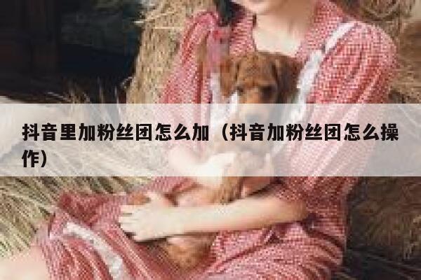 抖音里加粉丝团怎么加(抖音加粉丝团怎么操作) 第1张 抖音里加粉丝团怎么加(抖音加粉丝团怎么操作) 第1张