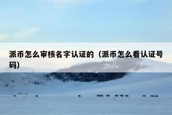 派币怎么审核名字认证的(派币怎么看认证号码) 第1张 派币怎么审核名字认证的(派币怎么看认证号码) 第1张
