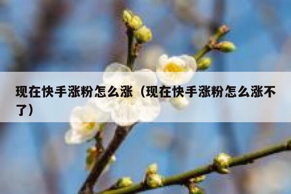 现在快手涨粉怎么涨（现在快手涨粉怎么涨不了） 第1张