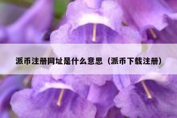 派币注册网址是什么意思（派币下载注册） 第1张