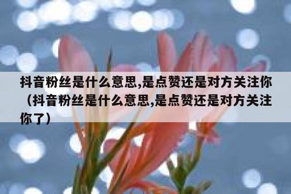 抖音粉丝是什么意思,是点赞还是对方关注你（抖音粉丝是什么意思,是点赞还是对方关注你了） 第1张