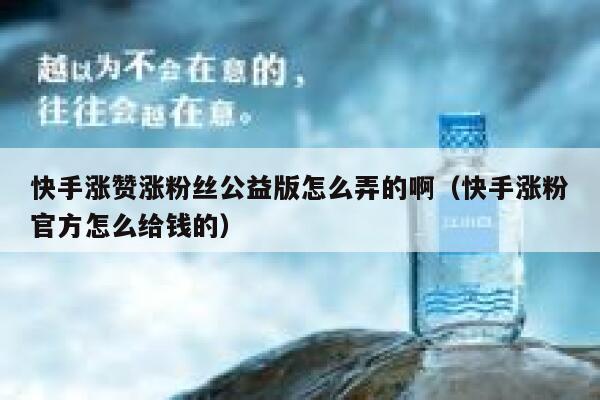 快手涨赞涨粉丝公益版怎么弄的啊（快手涨粉官方怎么给钱的） 第1张