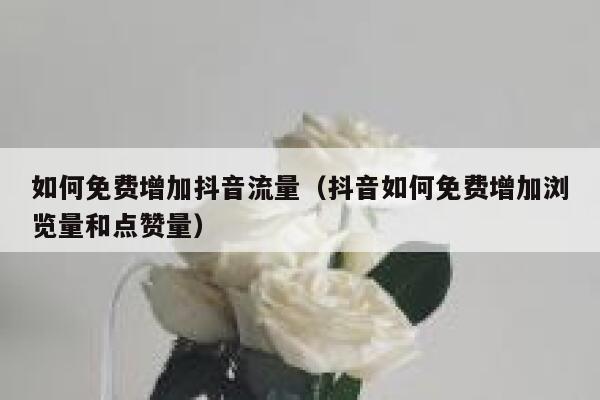 如何免费增加抖音流量(抖音如何免费增加浏览量和点赞量) 第1张 如何免费增加抖音流量(抖音如何免费增加浏览量和点赞量) 第1张