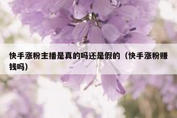快手涨粉主播是真的吗还是假的（快手涨粉赚钱吗） 第1张
