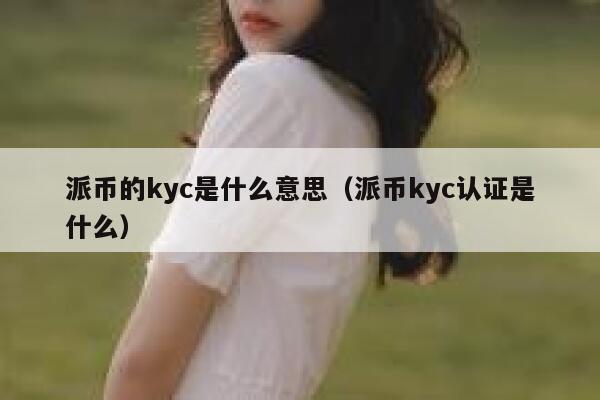 派币的kyc是什么意思（派币kyc认证是什么） 第1张