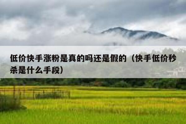 低价快手涨粉是真的吗还是假的(快手低价秒杀是什么手段) 第1张 低价快手涨粉是真的吗还是假的(快手低价秒杀是什么手段) 第1张
