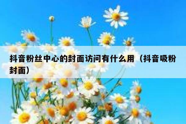 抖音粉丝中心的封面访问有什么用（抖音吸粉封面） 第1张