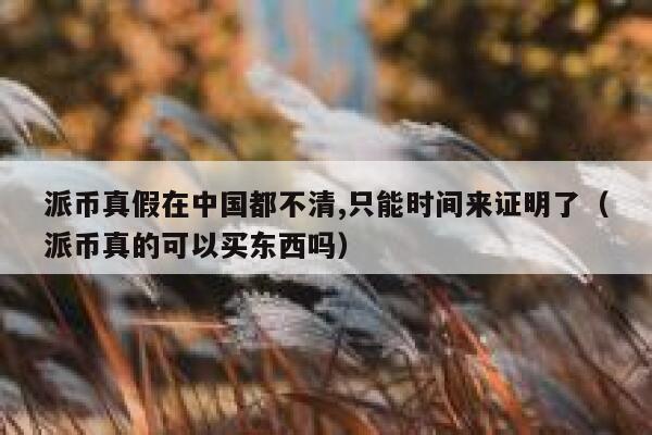 派币真假在中国都不清,只能时间来证明了（派币真的可以买东西吗） 第1张