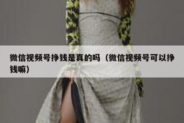 微信视频号挣钱是真的吗（微信视频号可以挣钱嘛） 第1张