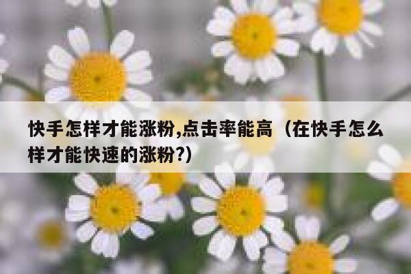 快手怎样才能涨粉,点击率能高（在快手怎么样才能快速的涨粉?） 第1张