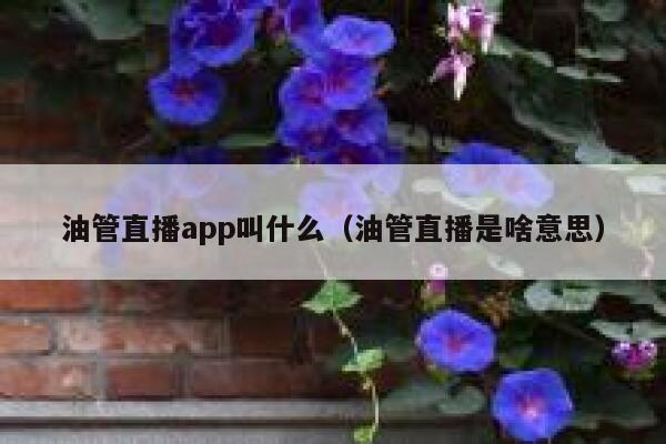 油管直播app叫什么（油管直播是啥意思） 第1张