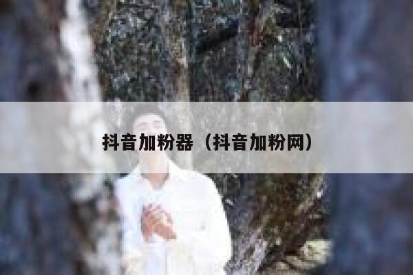 抖音加粉器（抖音加粉网） 第1张