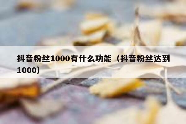 抖音粉丝1000有什么功能（抖音粉丝达到1000） 第1张