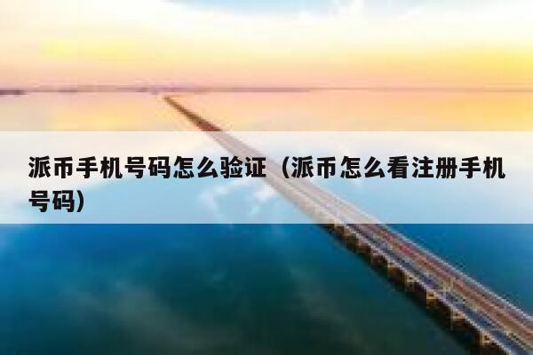 派币手机号码怎么验证（派币怎么看注册手机号码） 第1张