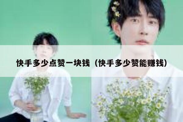 快手多少点赞一块钱（快手多少赞能赚钱） 第1张