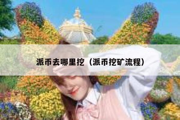 派币去哪里挖（派币挖矿流程） 第1张