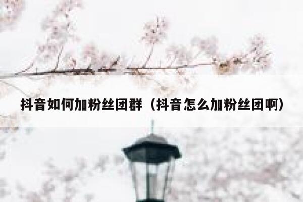 抖音如何加粉丝团群(抖音怎么加粉丝团啊) 第1张 抖音如何加粉丝团群(抖音怎么加粉丝团啊) 第1张