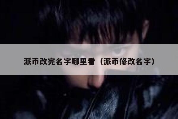 派币改完名字哪里看（派币修改名字） 第1张