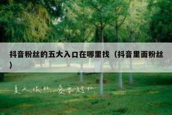 抖音粉丝的五大入口在哪里找（抖音里面粉丝） 第1张