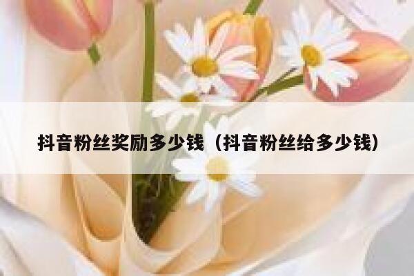 抖音粉丝奖励多少钱（抖音粉丝给多少钱） 第1张