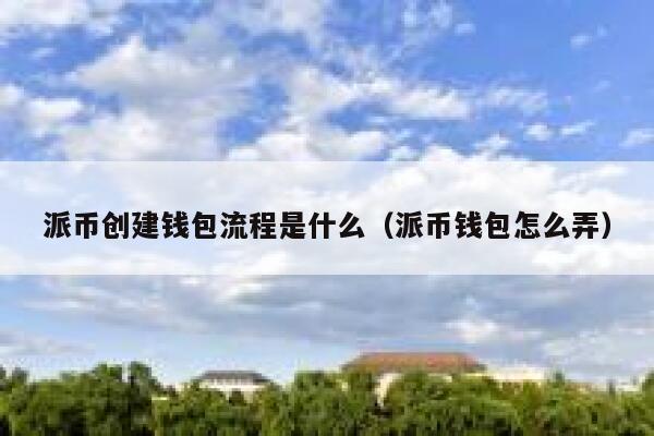 派币创建钱包流程是什么（派币钱包怎么弄） 第1张
