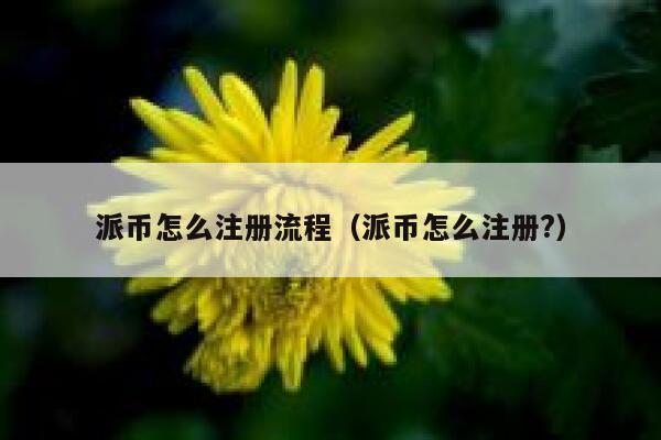 派币怎么注册流程（派币怎么注册?） 第1张