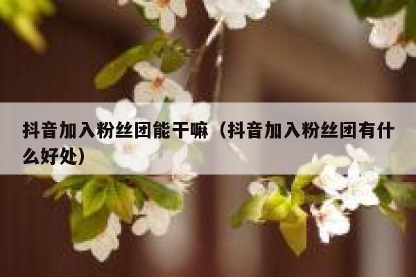 抖音加入粉丝团能干嘛(抖音加入粉丝团有什么好处) 第1张 抖音加入粉丝团能干嘛(抖音加入粉丝团有什么好处) 第1张