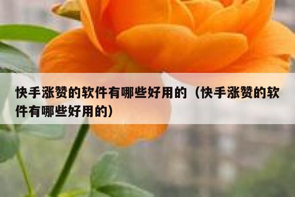 快手涨赞的软件有哪些好用的（快手涨赞的软件有哪些好用的） 第1张