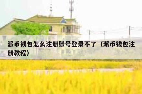 派币钱包怎么注册账号登录不了(派币钱包注册教程) 第1张 派币钱包怎么注册账号登录不了(派币钱包注册教程) 第1张