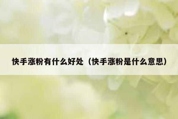 快手涨粉有什么好处(快手涨粉是什么意思) 第1张 快手涨粉有什么好处(快手涨粉是什么意思) 第1张