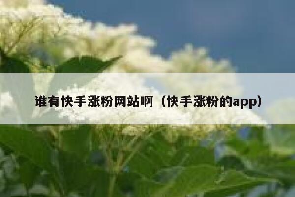 谁有快手涨粉网站啊(快手涨粉的app) 第1张 谁有快手涨粉网站啊(快手涨粉的app) 第1张