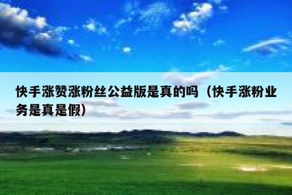 快手涨赞涨粉丝公益版是真的吗(快手涨粉业务是真是假) 第1张 快手涨赞涨粉丝公益版是真的吗(快手涨粉业务是真是假) 第1张