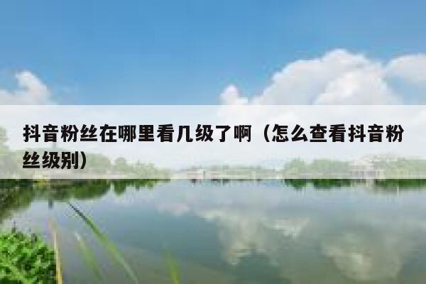 抖音粉丝在哪里看几级了啊（怎么查看抖音粉丝级别） 第1张