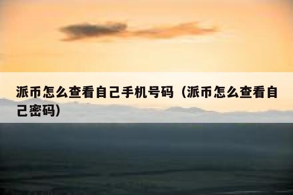 派币怎么查看自己手机号码(派币怎么查看自己密码) 第1张 派币怎么查看自己手机号码(派币怎么查看自己密码) 第1张