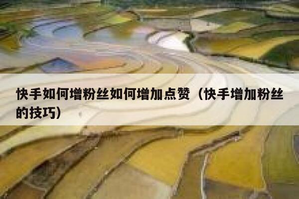 快手如何增粉丝如何增加点赞(快手增加粉丝的技巧) 第1张 快手如何增粉丝如何增加点赞(快手增加粉丝的技巧) 第1张