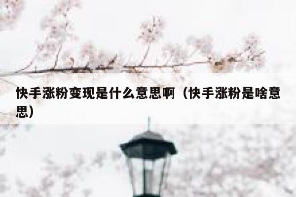 快手涨粉变现是什么意思啊(快手涨粉是啥意思) 第1张 快手涨粉变现是什么意思啊(快手涨粉是啥意思) 第1张