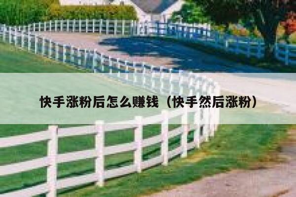 快手涨粉后怎么赚钱(快手然后涨粉) 第1张 快手涨粉后怎么赚钱(快手然后涨粉) 第1张