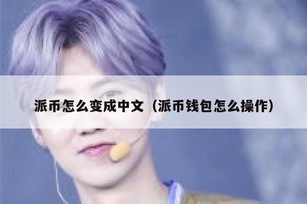 派币怎么变成中文（派币钱包怎么操作） 第1张