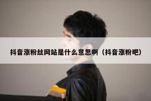 抖音涨粉丝网站是什么意思啊(抖音涨粉吧) 第1张 抖音涨粉丝网站是什么意思啊(抖音涨粉吧) 第1张