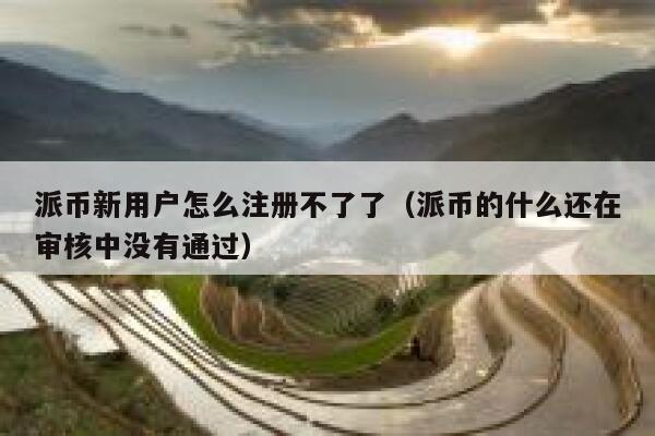 派币新用户怎么注册不了了（派币的什么还在审核中没有通过） 第1张