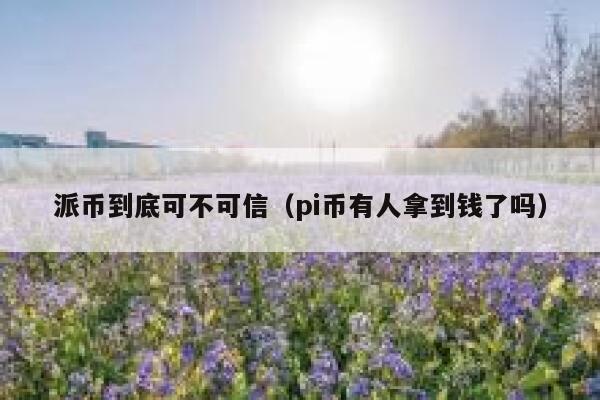派币到底可不可信（pi币有人拿到钱了吗） 第1张