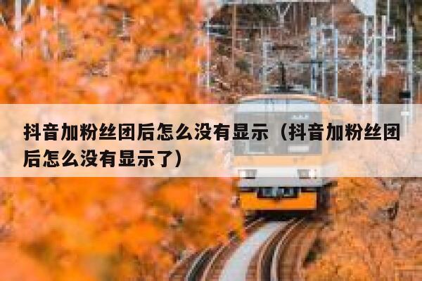 抖音加粉丝团后怎么没有显示（抖音加粉丝团后怎么没有显示了） 第1张