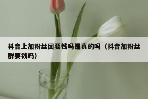 抖音上加粉丝团要钱吗是真的吗（抖音加粉丝群要钱吗） 第1张