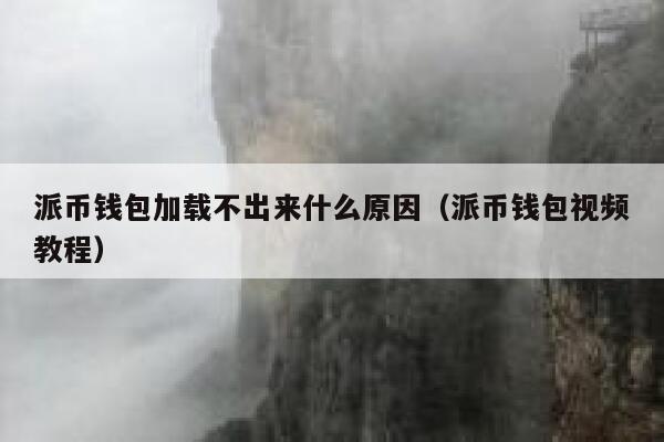 派币钱包加载不出来什么原因（派币钱包视频教程） 第1张