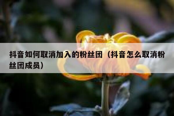 抖音如何取消加入的粉丝团（抖音怎么取消粉丝团成员） 第1张