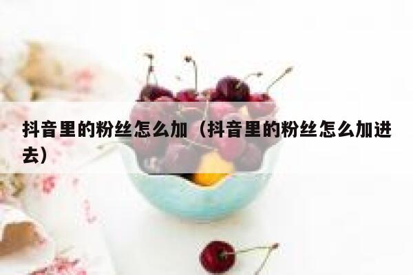 抖音里的粉丝怎么加(抖音里的粉丝怎么加进去) 第1张 抖音里的粉丝怎么加(抖音里的粉丝怎么加进去) 第1张