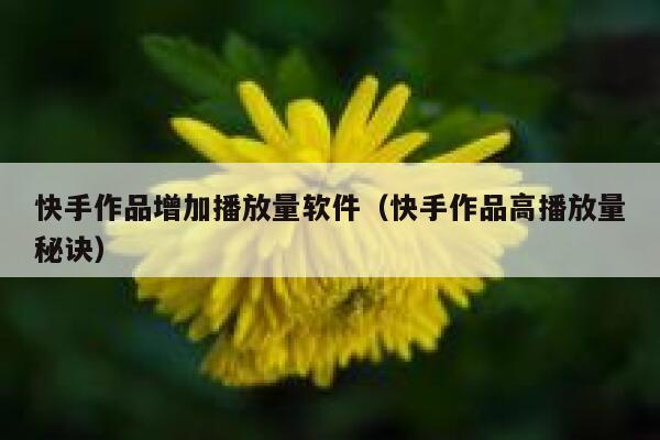 快手作品增加播放量软件（快手作品高播放量秘诀） 第1张